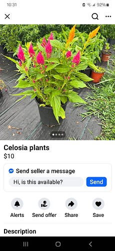 Screenshot_20250623_103147_Facebook