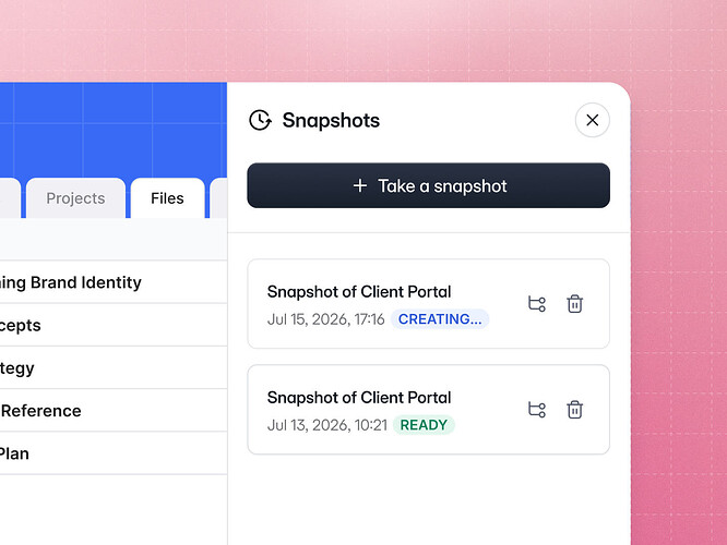 SoftrDBSnapshot